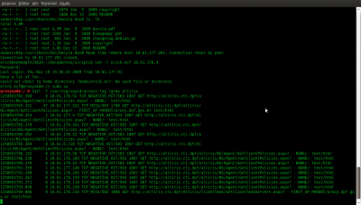 Linux: Verificando logs do Squid em tempo real